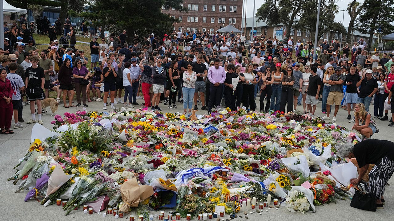 Democrats condemn Australia Hanukkah attack amid party Israel divisions