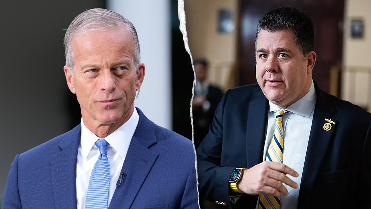 Senate healthcare action unlikely in 2025, majority leader Thune says